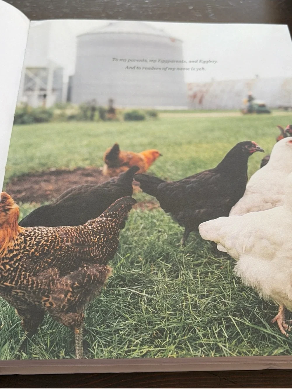 Molly on the Range : Recipes and Stories. Hardback Cook Book By Molly Yeh